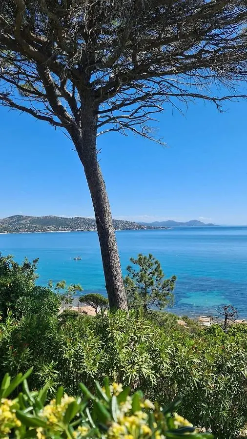 Mi Casita Apartment Sainte-Maxime France